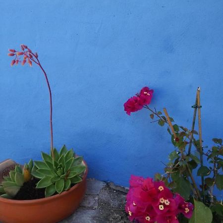 Casinha Do Sul Villa ฟารู ภายนอก รูปภาพ